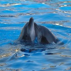 Marineland - 18.07.07 - 0077