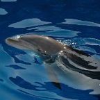 Marineland - 18.07.07 - 0057