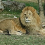 Zoo de la Barben - 0070